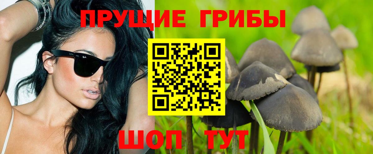 Галлюциногенные грибы Cubensis Красноярск