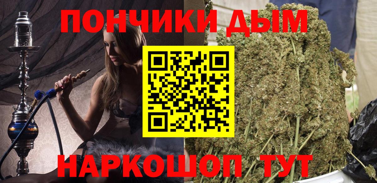 Бошки Шишки семена Красноярск